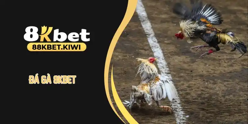 Đá gà 8kbet