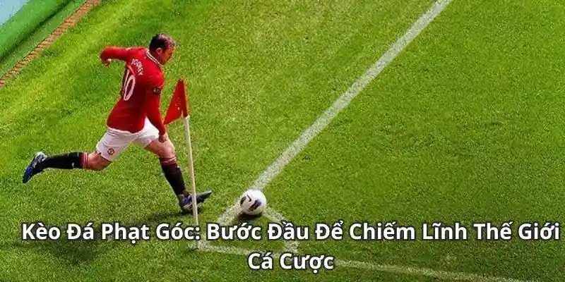 Kèo phạt góc 8kbet